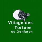 Village des tortues soptom